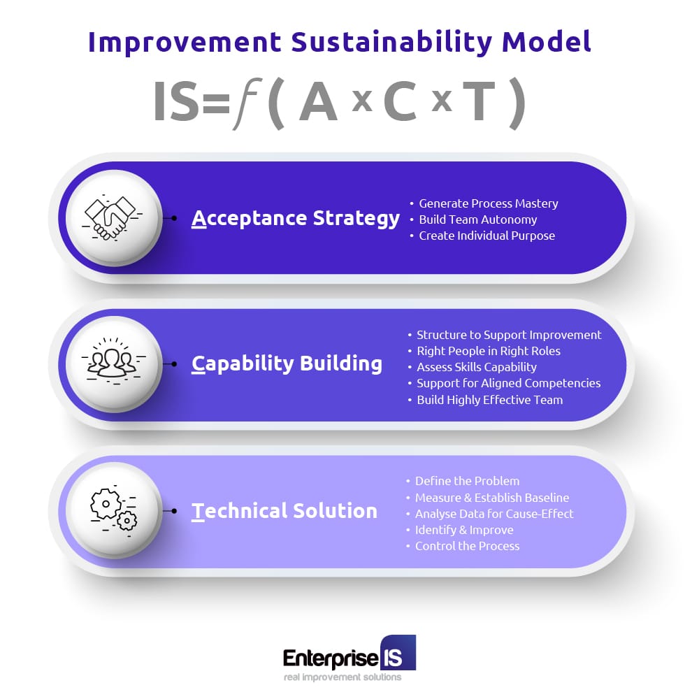 infographic of the improvement sustainability model